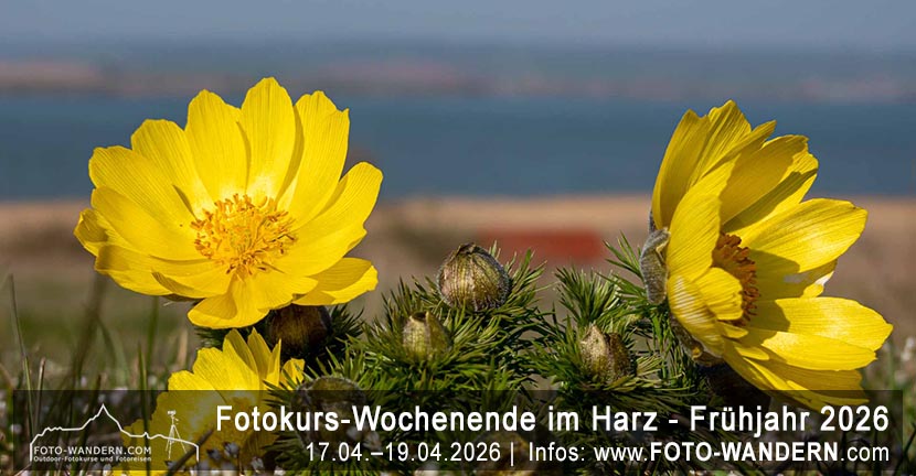 Workshop-Wochenende Harz - Frühjahr 2026